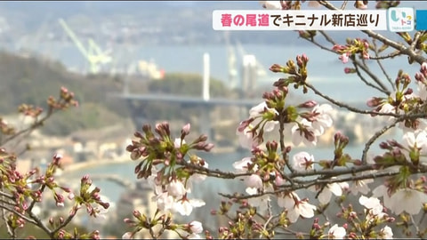 ｢春の尾道でキニナル新店巡り｣ #86 (2021年3月25日OA)